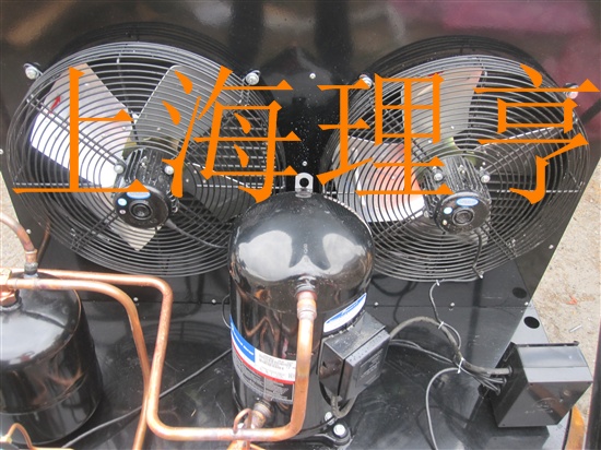 ��݆���s�C�C�M